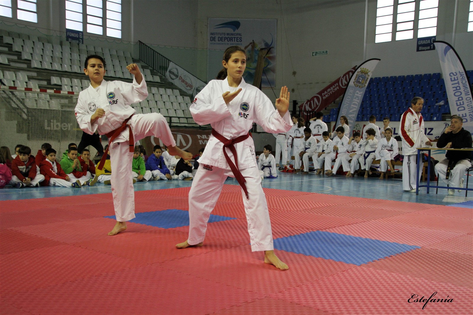 Taekwondo (172).jpg